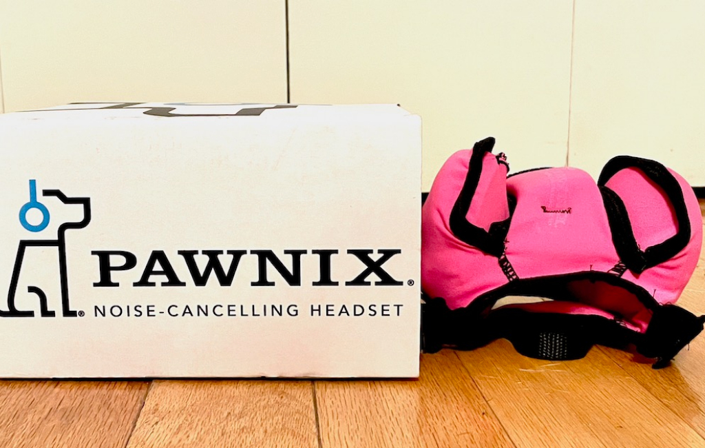 Pink-pawnix-and-box