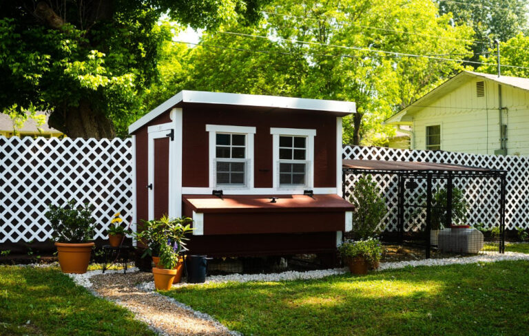 chicken coop in jard