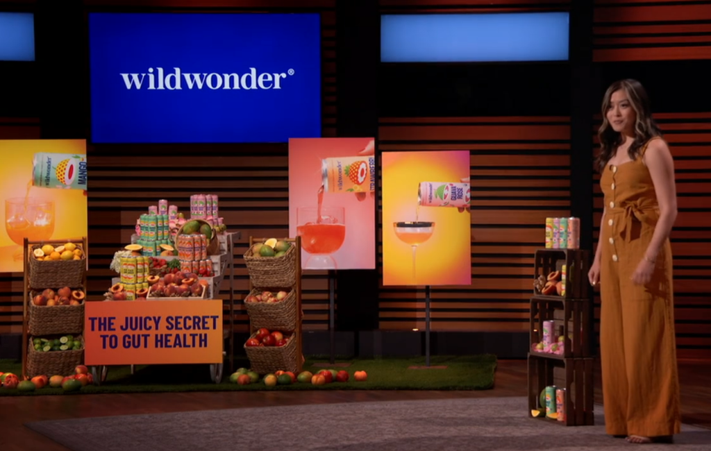 founder of wildwonder pitching on shark tank