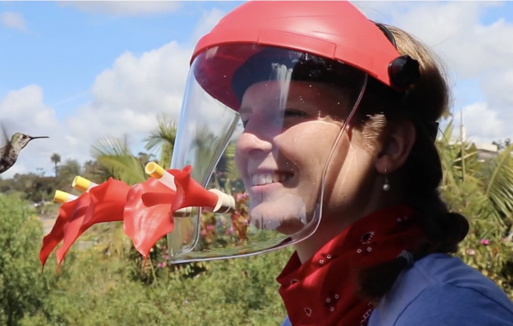 using hummviewer hummingbird feeder mask