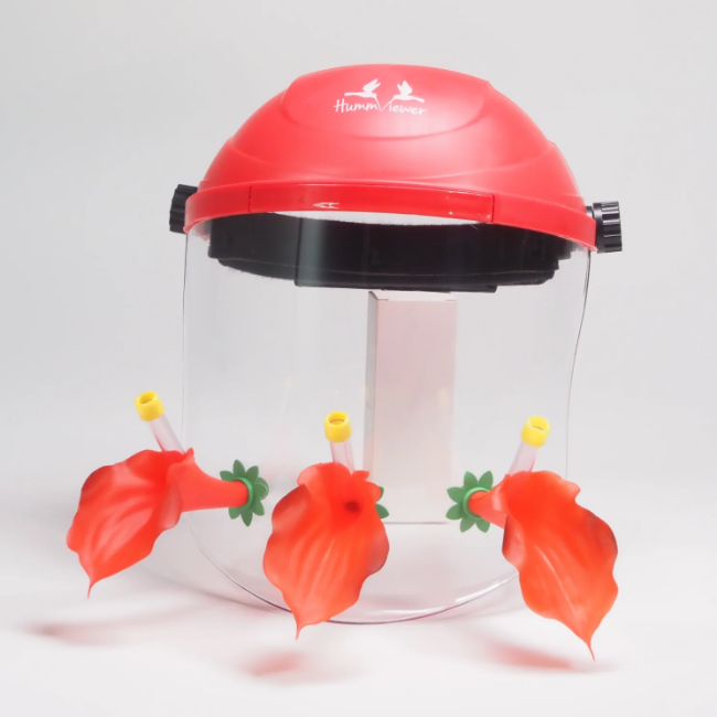 hummviewer hummingbird feeder mask