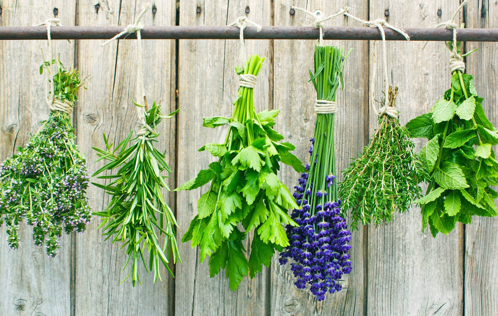 fresh herbs