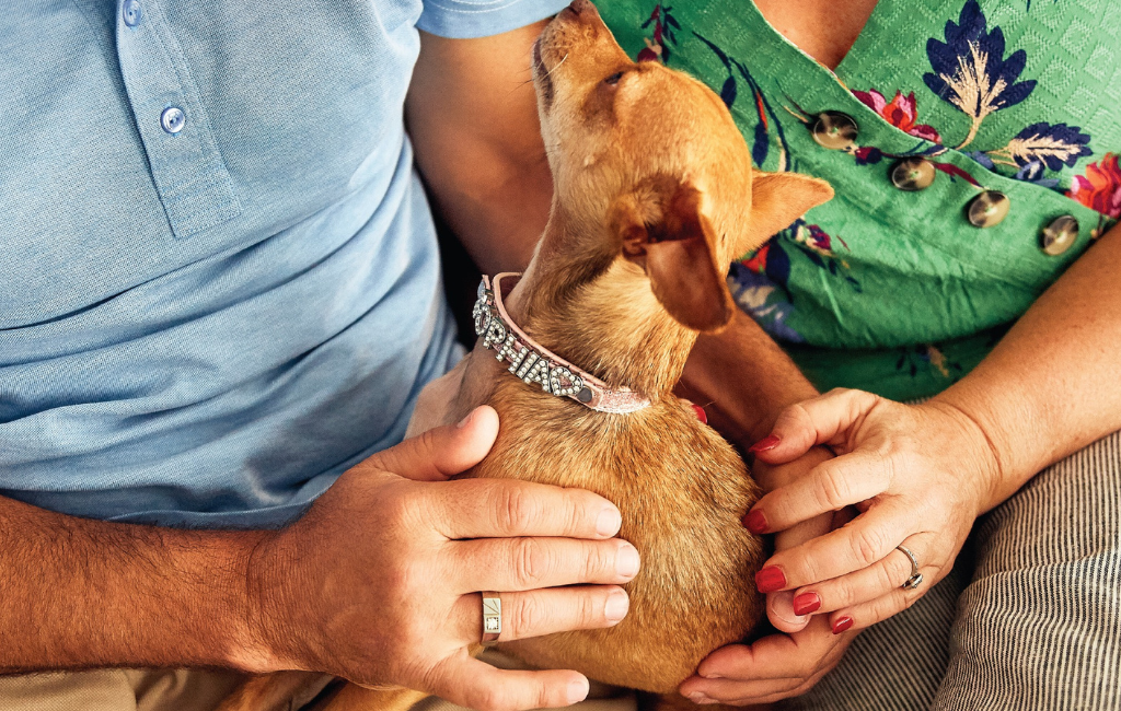 a pet with together with an eterneva ring