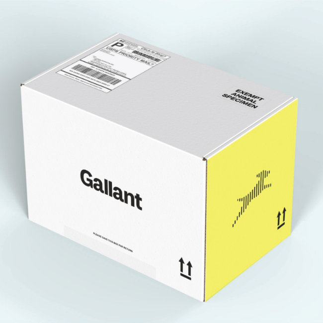 gallant-stem-cell-for-pets