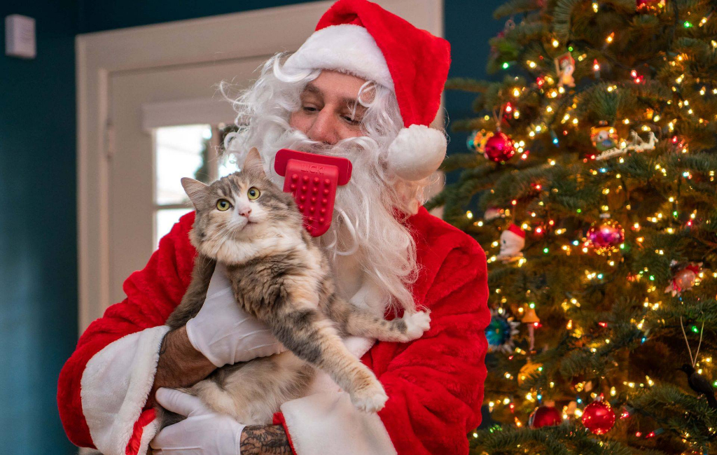 Santa-cat-licki