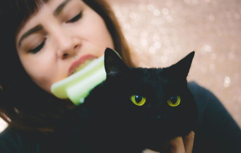 woman-brush-cat