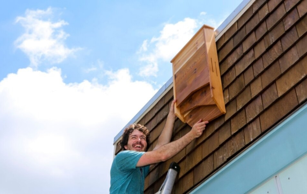 hanging bat house