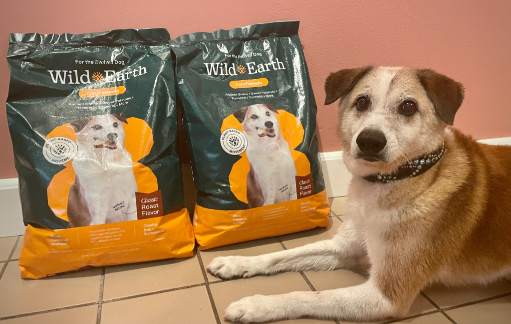 dog and dog food bags