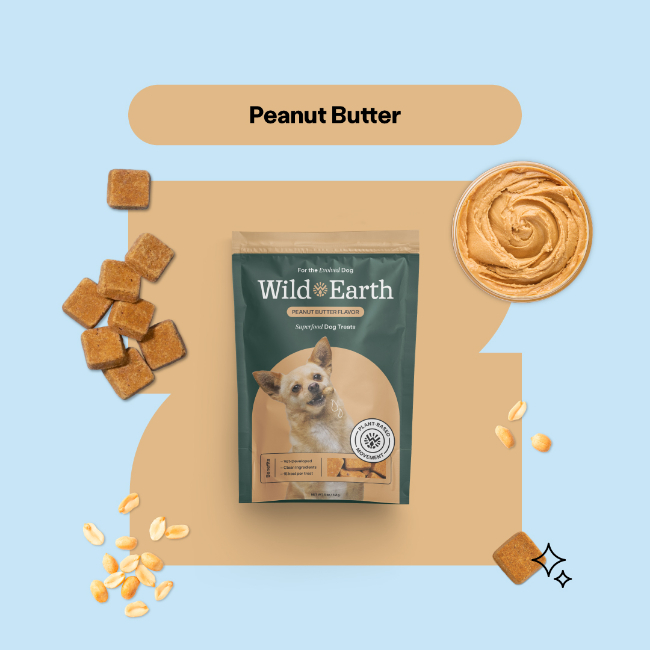 peanut butter treats