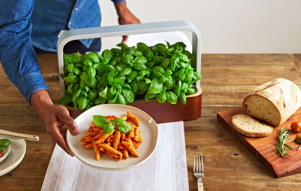 making-pasta-basil