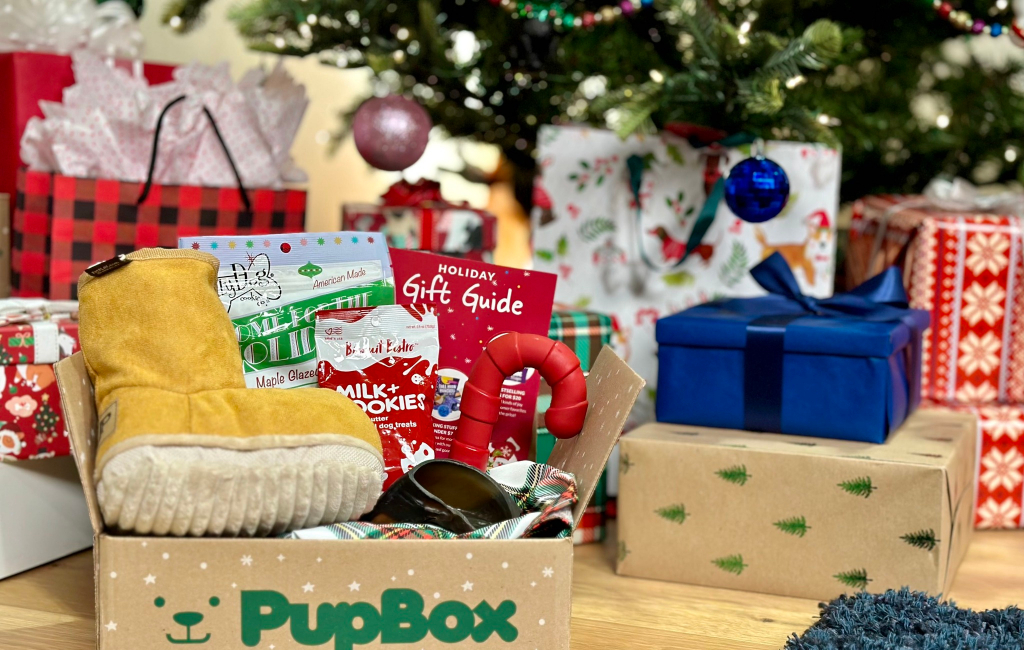 Christmas gifts for dogs