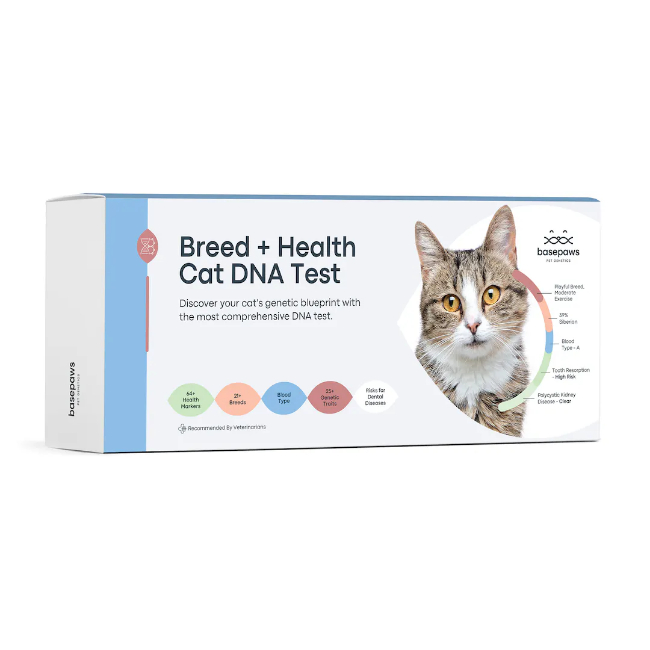 Cat DNA Test