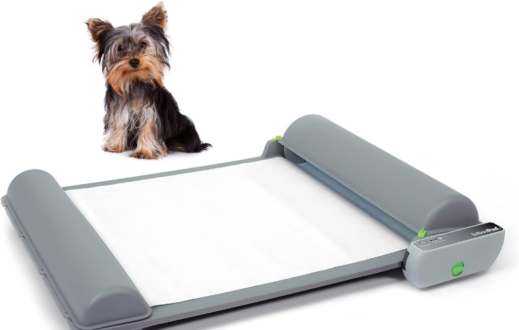 dog-using-brilliantpad-self-cleaning-dog-potty