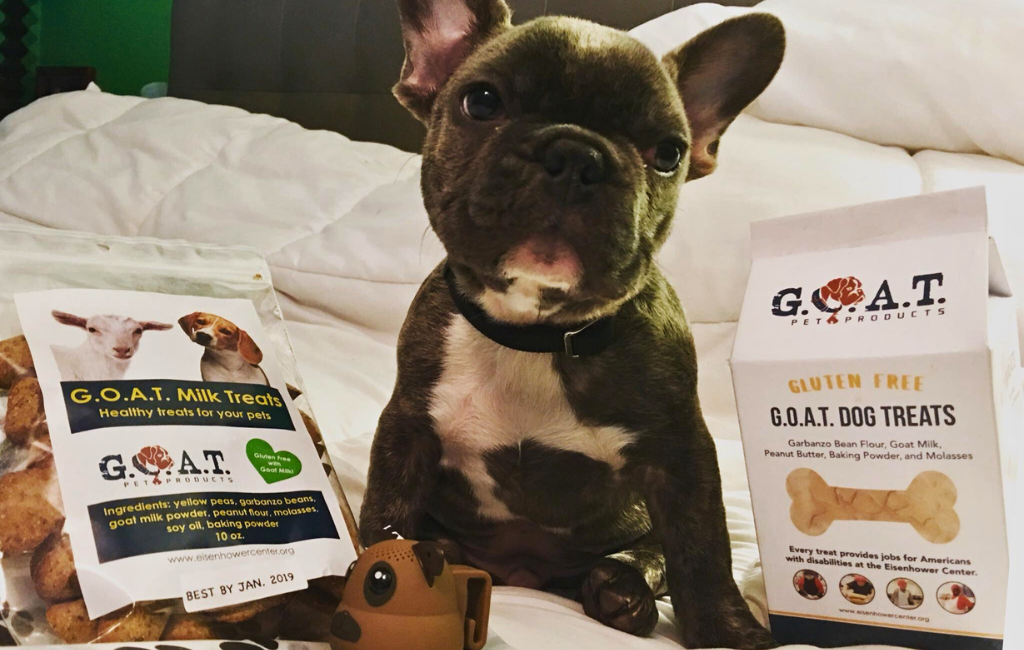 g.o.a.t.-pet-products-with-a-dog