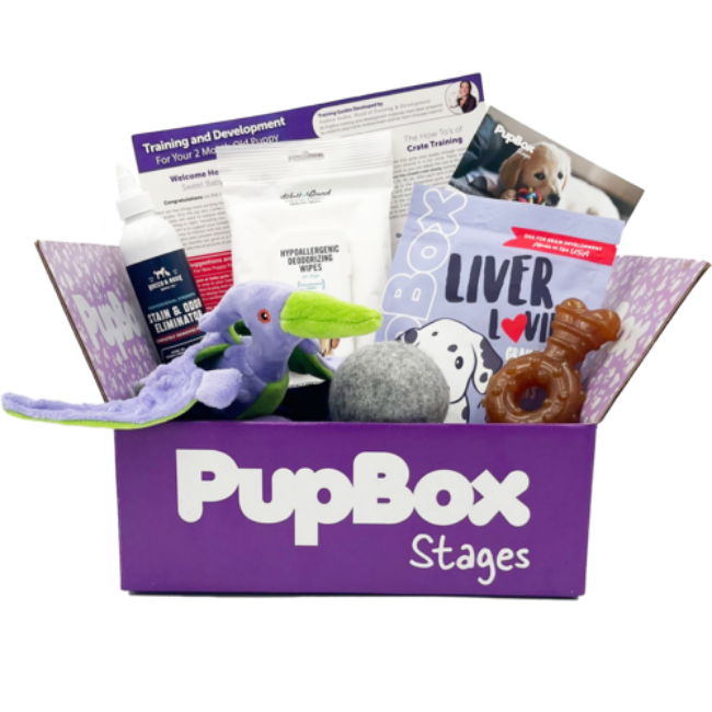 pupbox for puppies