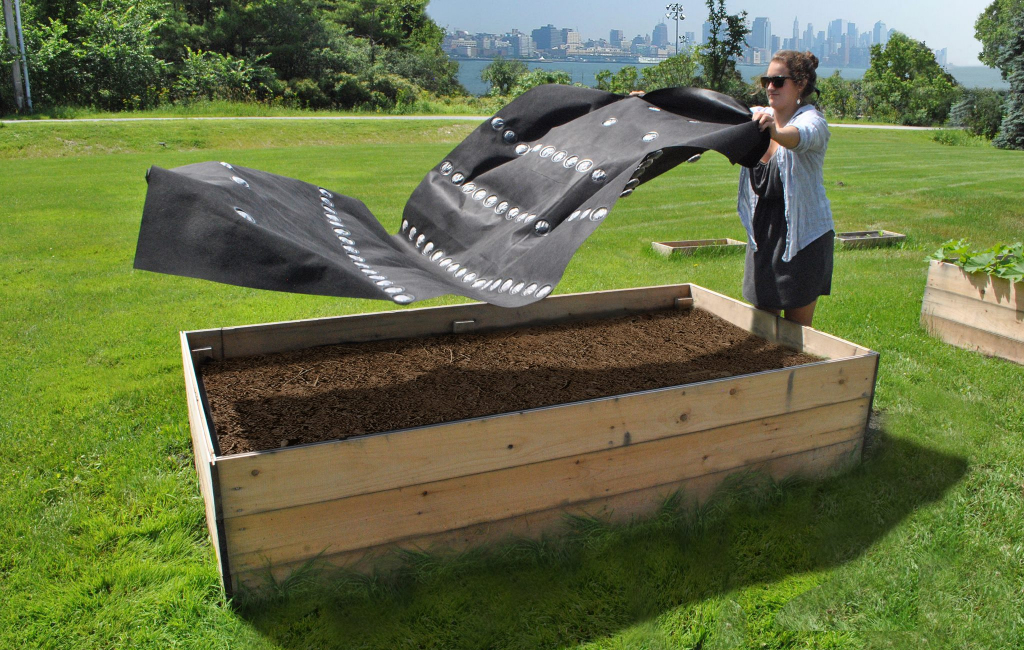 woman preparing seed sheet