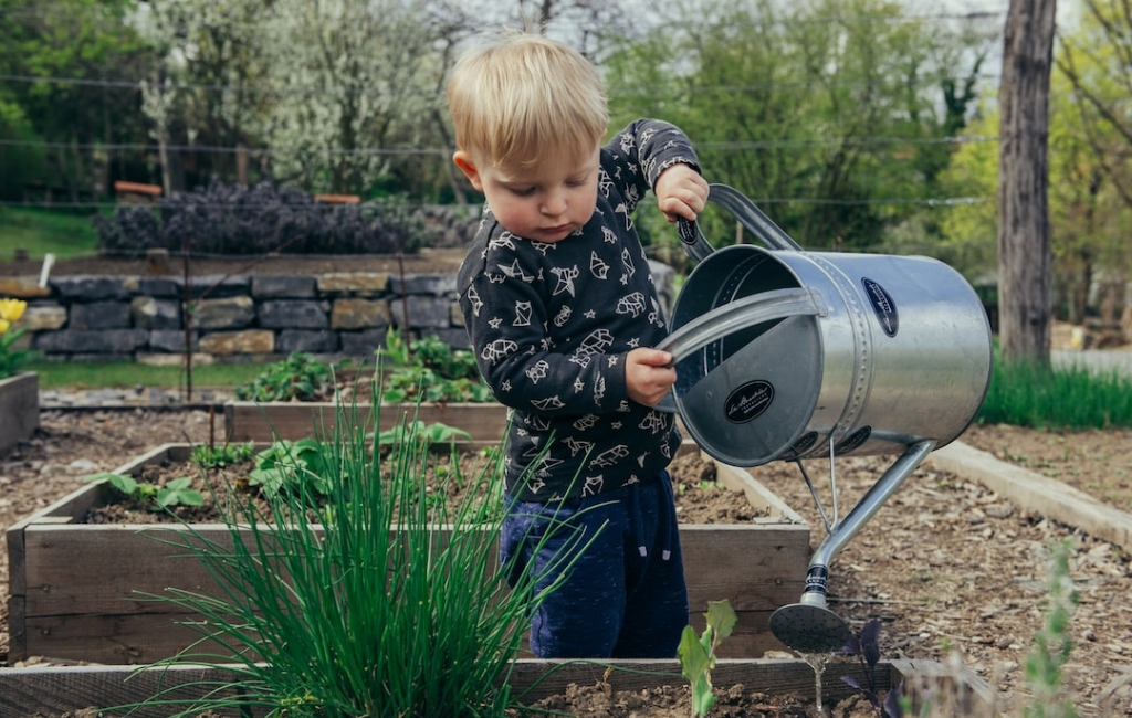 kid watering plants