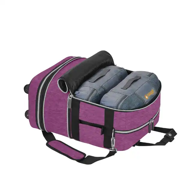 Biaggi-luggage-purple