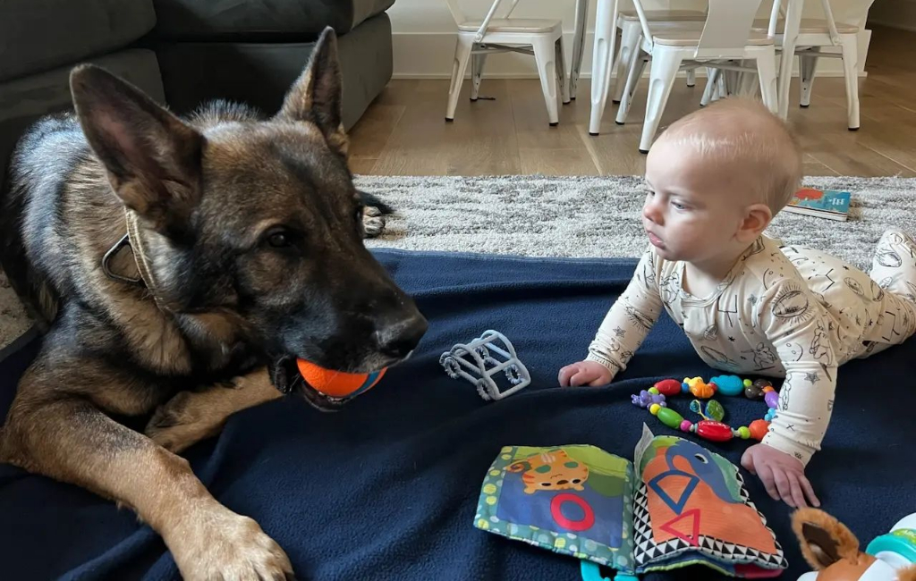 baby playing with dog