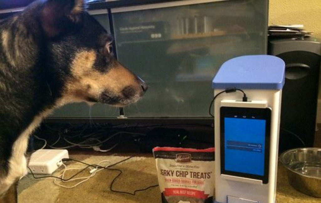 dog-with-interactive-guide