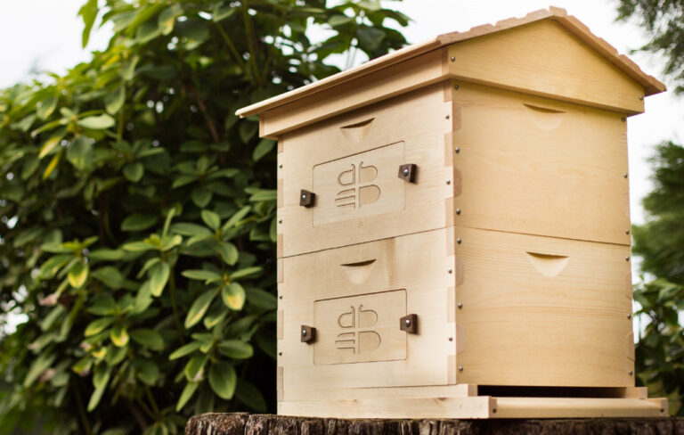 wooden bee hive