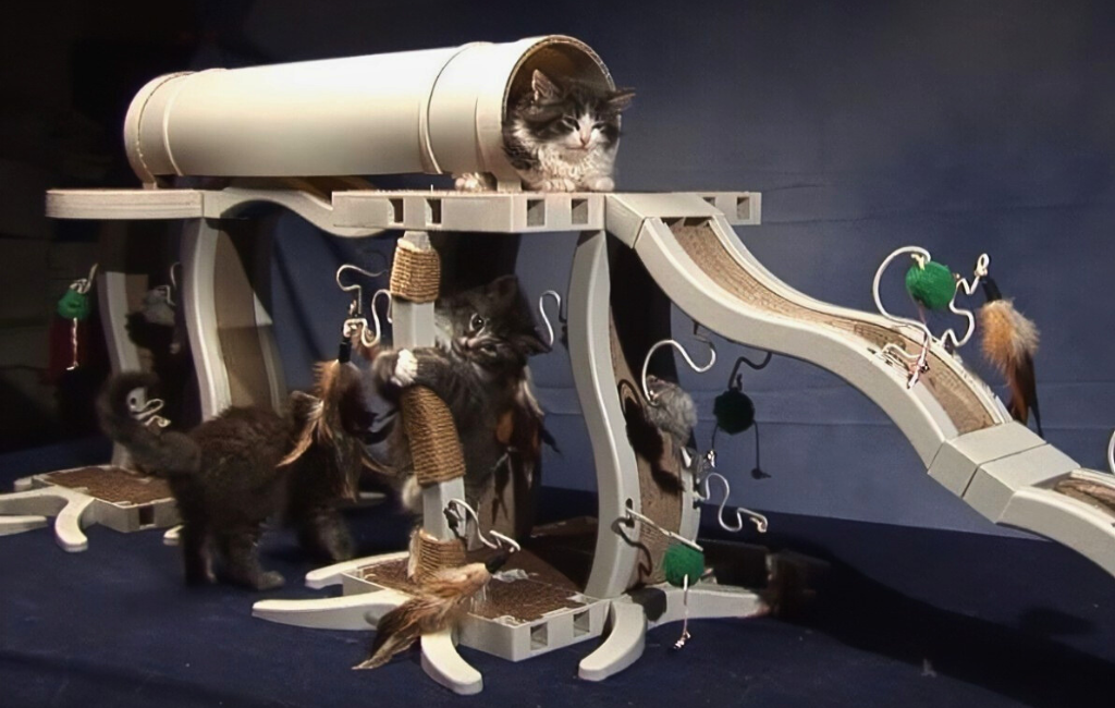 cats-playing-at-innovation-pet