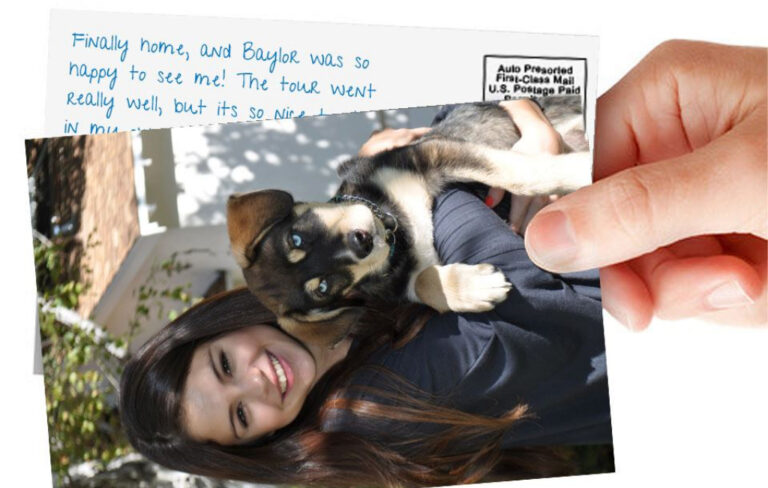 Selena_dog_postcard