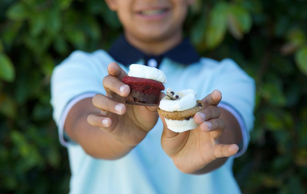 gotta-have-smores-mini