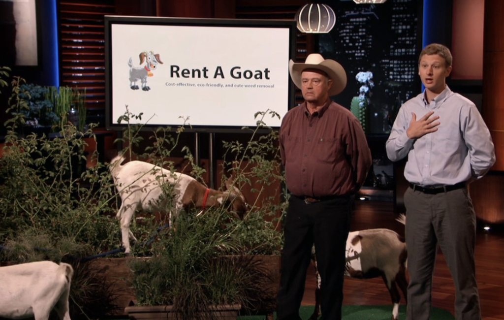 rent a goat founders