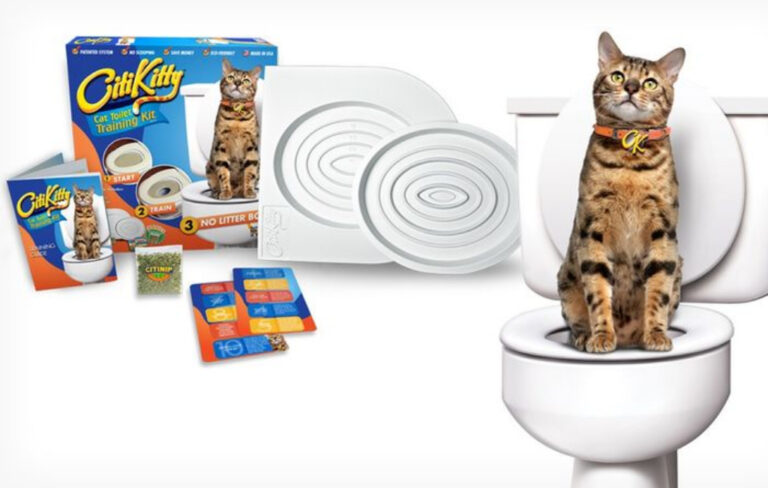 citi-kitty-pot-training-kit