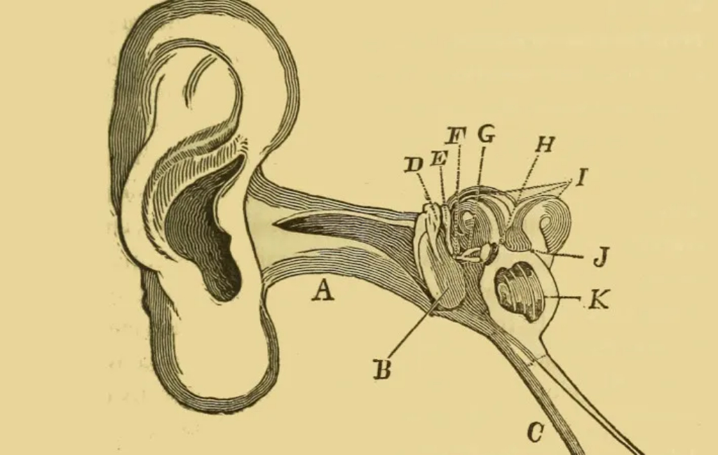 ear-cheat-featured