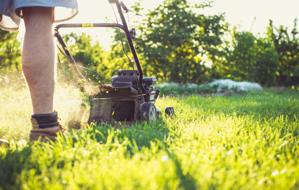 grass-cutting-process